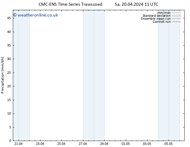 Precipitation CMC TS Sa 20.04.2024 17 UTC