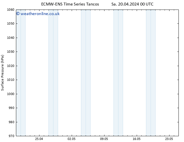 Surface pressure ALL TS Sa 20.04.2024 00 UTC