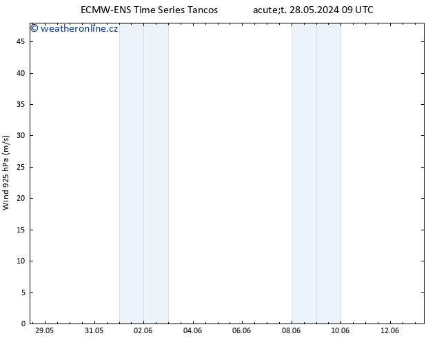 Wind 925 hPa ALL TS Pá 31.05.2024 03 UTC