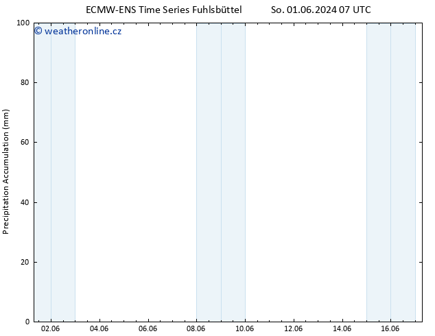 Precipitation accum. ALL TS Čt 06.06.2024 13 UTC