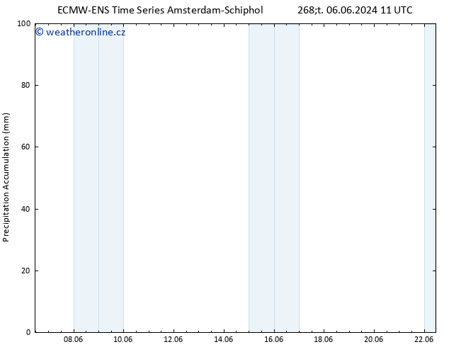 Precipitation accum. ALL TS Út 11.06.2024 17 UTC