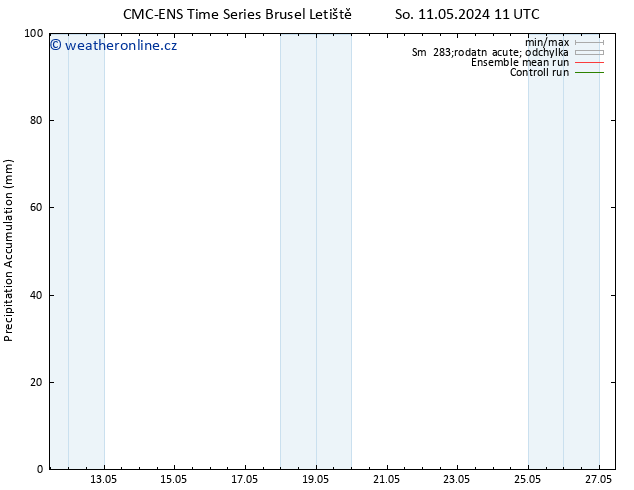 Precipitation accum. CMC TS Čt 16.05.2024 11 UTC