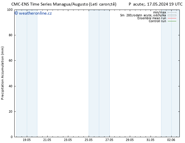 Precipitation accum. CMC TS St 22.05.2024 19 UTC