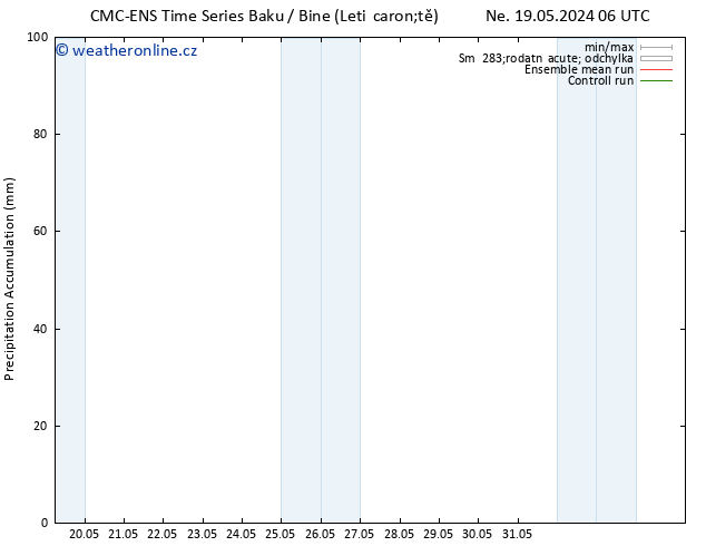 Precipitation accum. CMC TS So 25.05.2024 12 UTC
