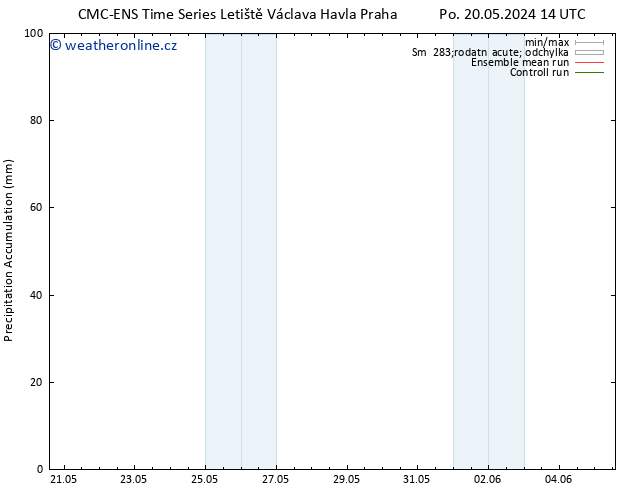 Precipitation accum. CMC TS St 22.05.2024 20 UTC
