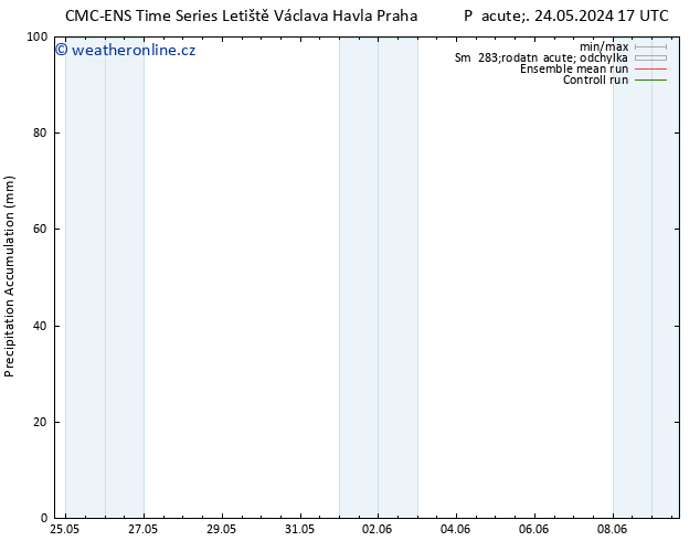 Precipitation accum. CMC TS St 29.05.2024 17 UTC