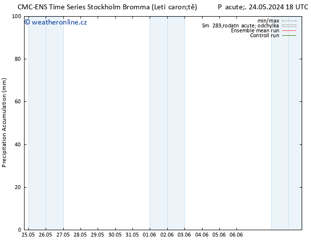 Precipitation accum. CMC TS St 29.05.2024 18 UTC