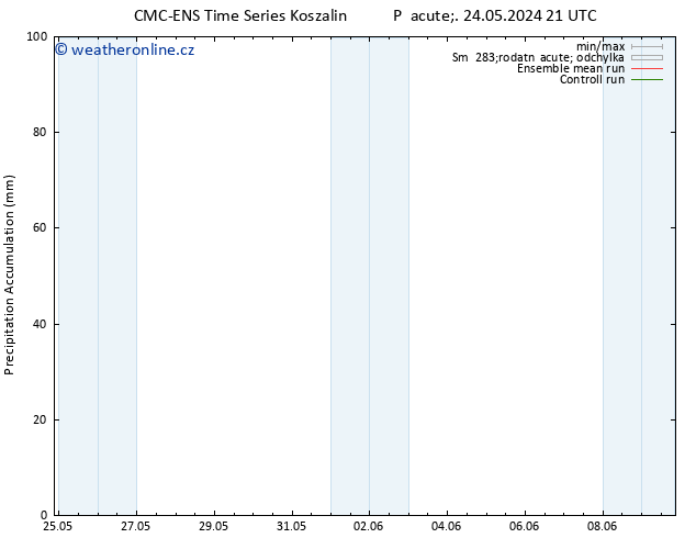 Precipitation accum. CMC TS So 25.05.2024 09 UTC