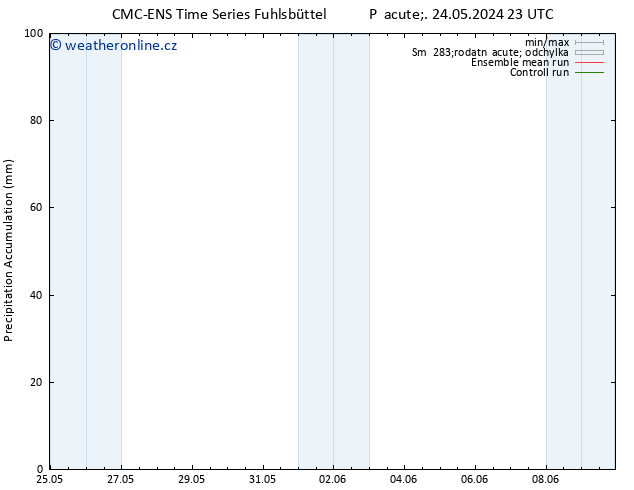 Precipitation accum. CMC TS So 25.05.2024 11 UTC