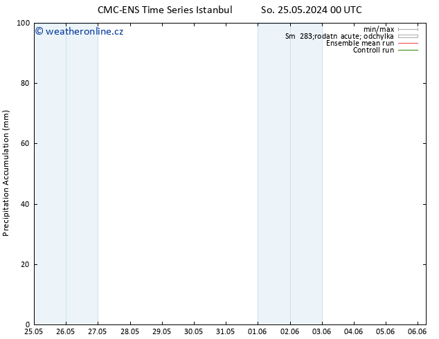 Precipitation accum. CMC TS So 25.05.2024 12 UTC