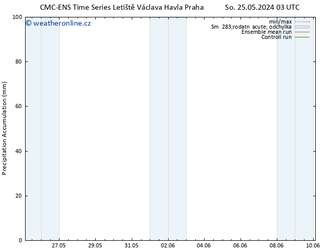 Precipitation accum. CMC TS Pá 31.05.2024 21 UTC