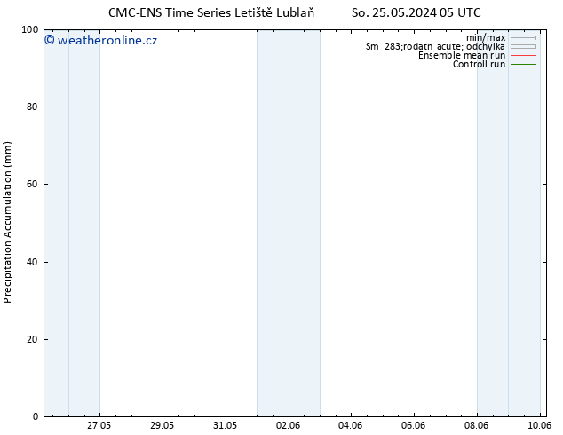 Precipitation accum. CMC TS So 25.05.2024 17 UTC