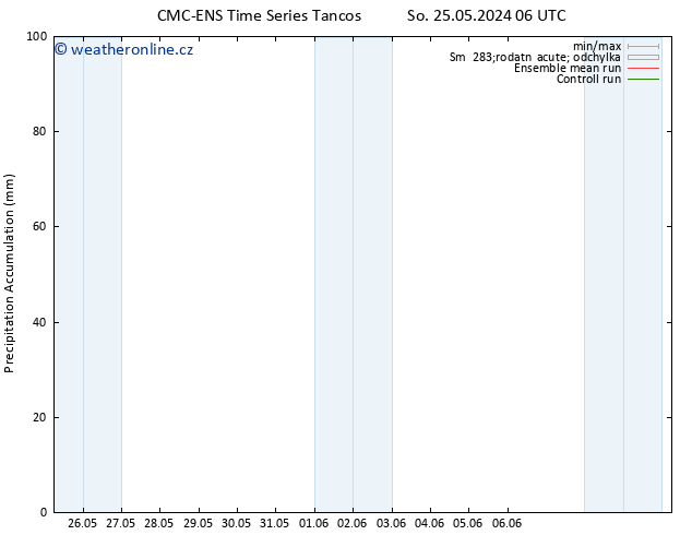 Precipitation accum. CMC TS So 01.06.2024 00 UTC