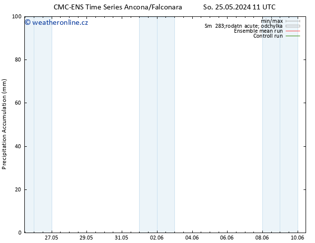 Precipitation accum. CMC TS So 01.06.2024 05 UTC