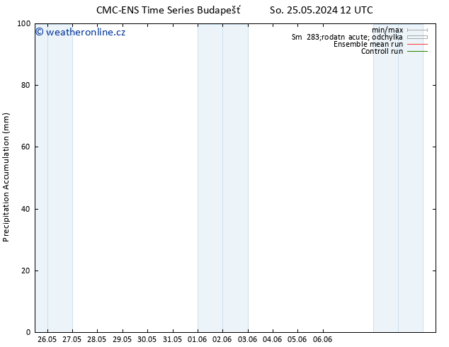 Precipitation accum. CMC TS So 01.06.2024 06 UTC