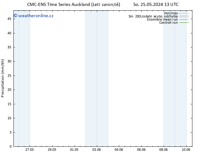Srážky CMC TS So 25.05.2024 19 UTC