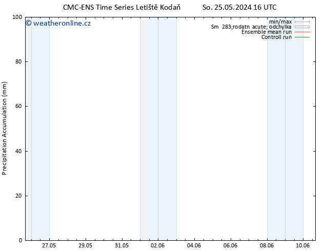 Precipitation accum. CMC TS So 01.06.2024 10 UTC