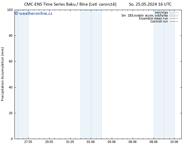 Precipitation accum. CMC TS So 25.05.2024 16 UTC