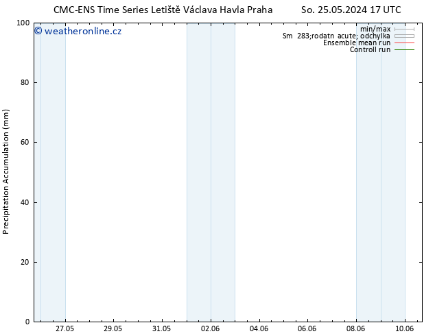 Precipitation accum. CMC TS Ne 02.06.2024 05 UTC