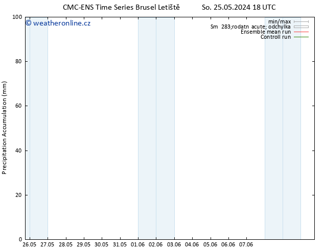 Precipitation accum. CMC TS Ne 02.06.2024 06 UTC