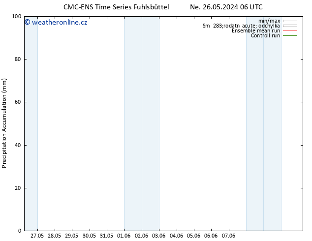 Precipitation accum. CMC TS St 05.06.2024 06 UTC