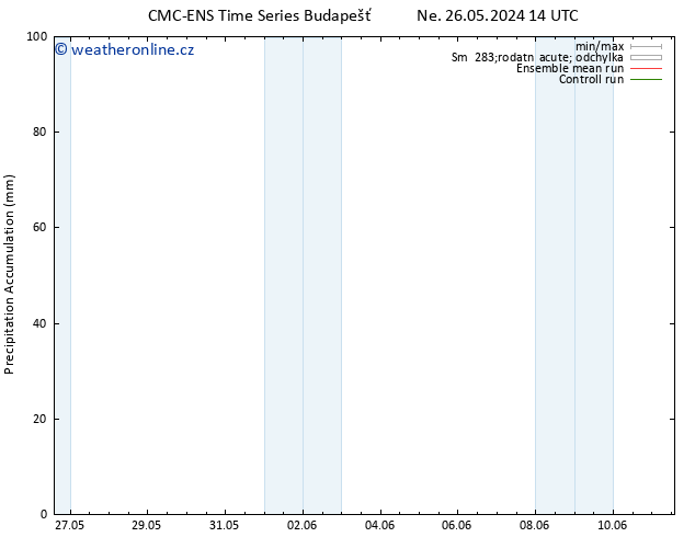 Precipitation accum. CMC TS Ne 02.06.2024 02 UTC