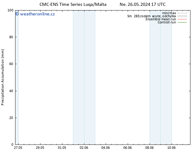 Precipitation accum. CMC TS Ne 02.06.2024 05 UTC