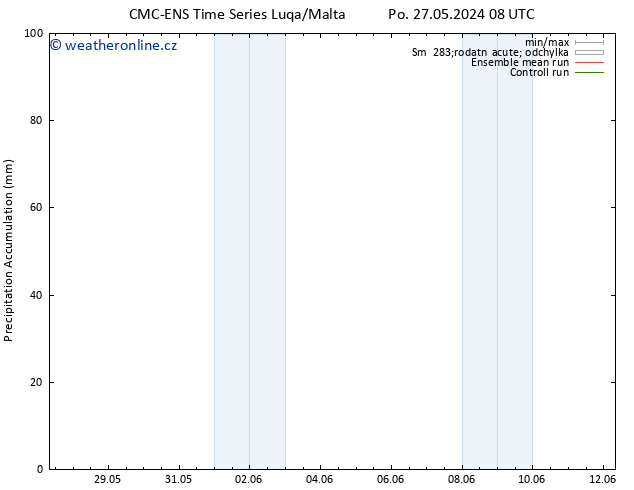 Precipitation accum. CMC TS So 08.06.2024 14 UTC