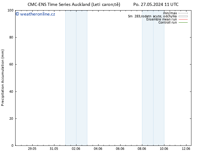 Precipitation accum. CMC TS Út 28.05.2024 11 UTC