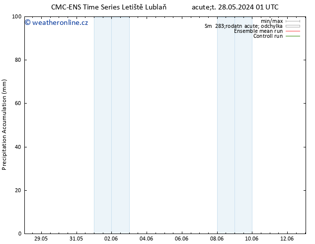 Precipitation accum. CMC TS Út 04.06.2024 13 UTC