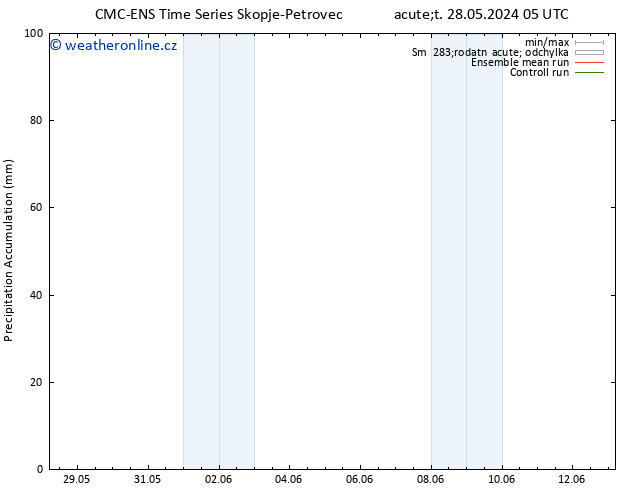 Precipitation accum. CMC TS Ne 09.06.2024 11 UTC