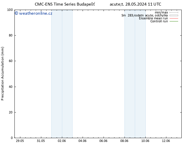 Precipitation accum. CMC TS St 05.06.2024 05 UTC