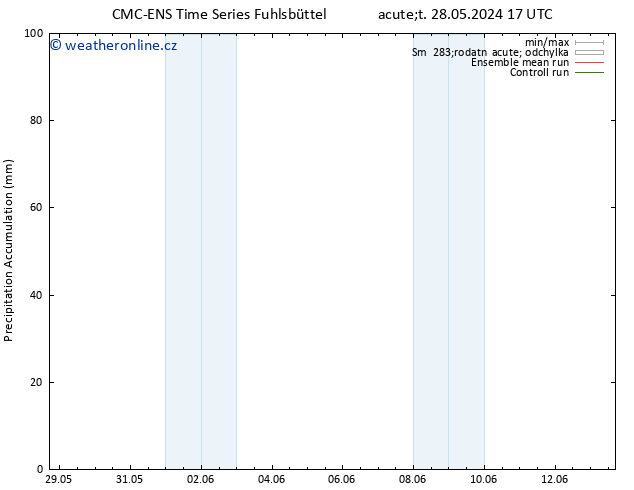 Precipitation accum. CMC TS St 29.05.2024 05 UTC