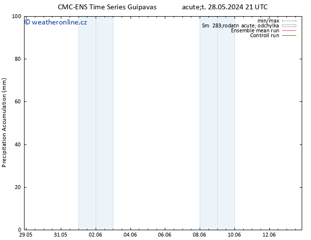 Precipitation accum. CMC TS Út 28.05.2024 21 UTC