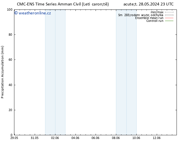 Precipitation accum. CMC TS St 29.05.2024 17 UTC