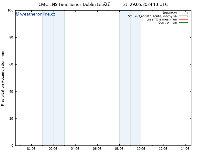 Precipitation accum. CMC TS St 29.05.2024 13 UTC