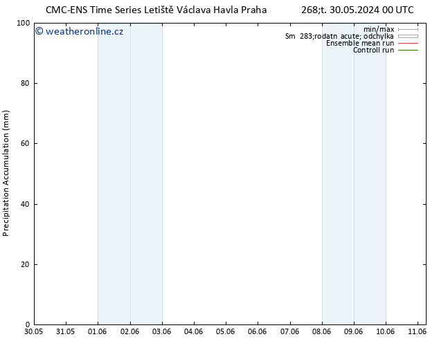 Precipitation accum. CMC TS Čt 06.06.2024 18 UTC