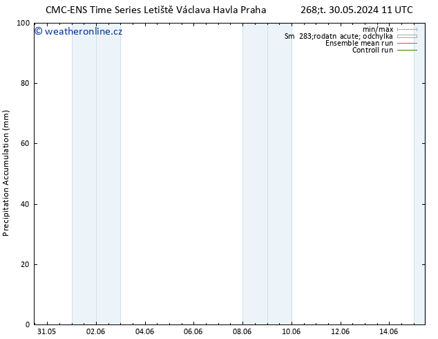 Precipitation accum. CMC TS Út 04.06.2024 23 UTC