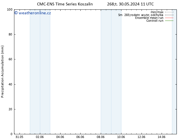 Precipitation accum. CMC TS Ne 09.06.2024 11 UTC