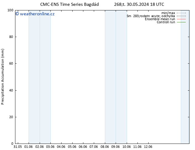Precipitation accum. CMC TS Pá 07.06.2024 18 UTC