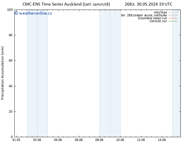 Precipitation accum. CMC TS Pá 31.05.2024 13 UTC