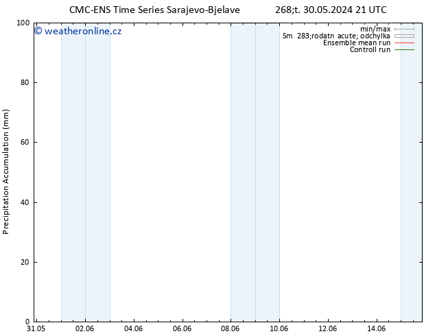 Precipitation accum. CMC TS Út 04.06.2024 21 UTC