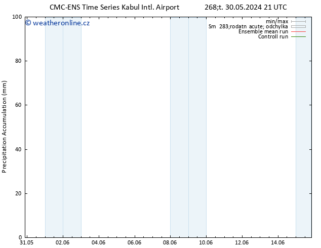 Precipitation accum. CMC TS Út 04.06.2024 15 UTC