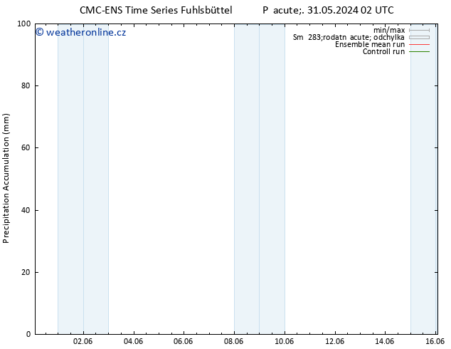 Precipitation accum. CMC TS Po 10.06.2024 02 UTC