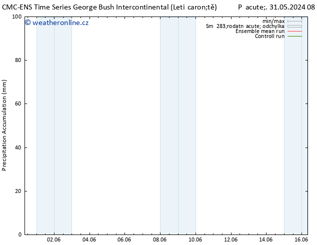 Precipitation accum. CMC TS Po 03.06.2024 20 UTC