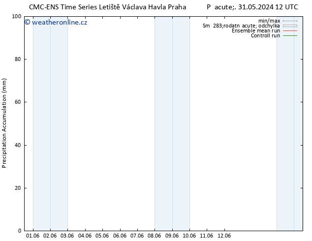 Precipitation accum. CMC TS Út 04.06.2024 12 UTC