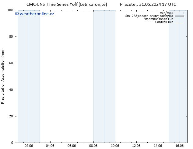 Precipitation accum. CMC TS Pá 31.05.2024 17 UTC