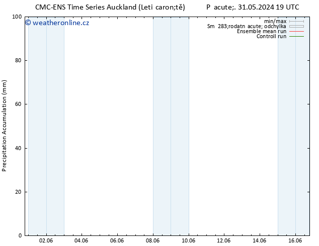 Precipitation accum. CMC TS Ne 02.06.2024 01 UTC