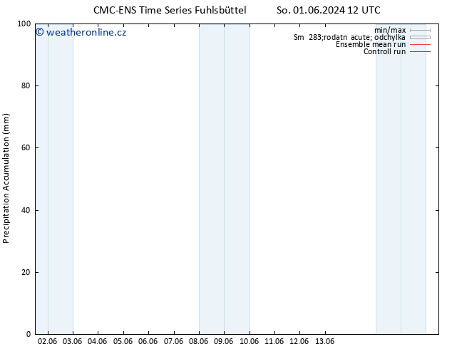 Precipitation accum. CMC TS Ne 02.06.2024 00 UTC