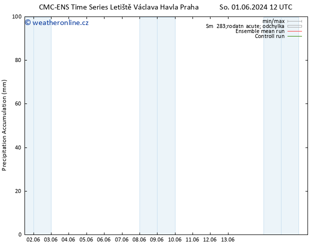 Precipitation accum. CMC TS So 08.06.2024 12 UTC